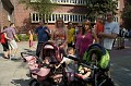 DSC09536