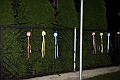 IMG_8333