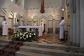 IMG_8988