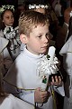 JPG_0534