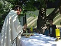 DSCF6587