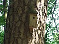DSCF6608