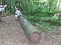 DSCF6609