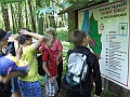 DSCF6639