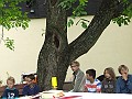 DSCF6661
