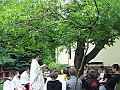 DSCF6668