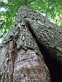 DSCF6752