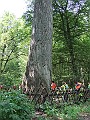 DSCF6755