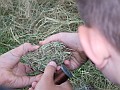 DSCF6828