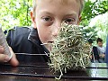 DSCF6834