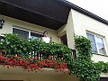 DSCF6878