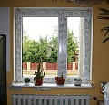 IMG_7255