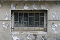 IMG_7653