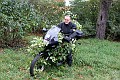 41zak_591
