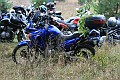 61IMG_7806