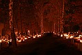 IMG_0573