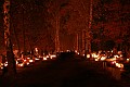 IMG_0574