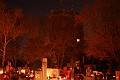 IMG_0600