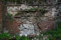 IMG_1976