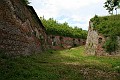 IMG_1977