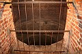 IMG_1985