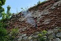 IMG_1987