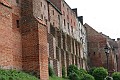 IMG_2047