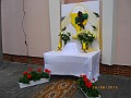 IMGP8075