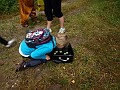 P7127009
