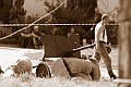 IMG_1088