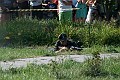 IMG_1099