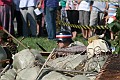 IMG_1108