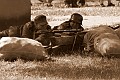 IMG_1114