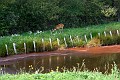 IMG_2931