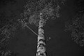 IMG_3879