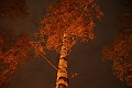 IMG_3880