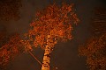 IMG_3881