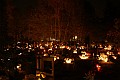 IMG_3884