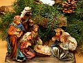 IMG_4480