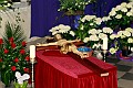 IMG_5907
