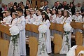 DPP_00082
