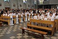 DPP_00088
