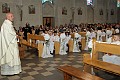 DPP_00105