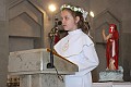 DPP_00142
