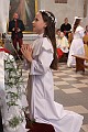 DPP_00192