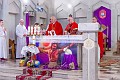_DSC0493
