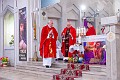 _DSC0495