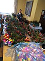 IMG_20170408_140952
