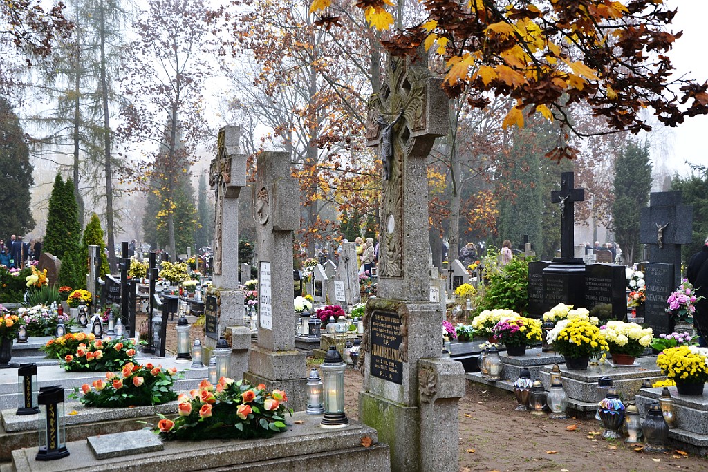 DSC_1313.JPG